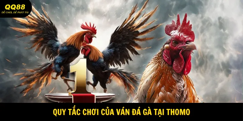 Đá Gà Thomo - Siêu Phẩm Giải Trí Chiến Kê Tại QQ88 2 quy-tac-choi-cua-van-da-ga-tai-thomo